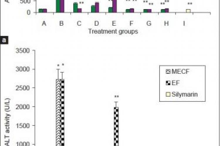 Effects of Pre-treatment with MECF and EF on liver Enzymes