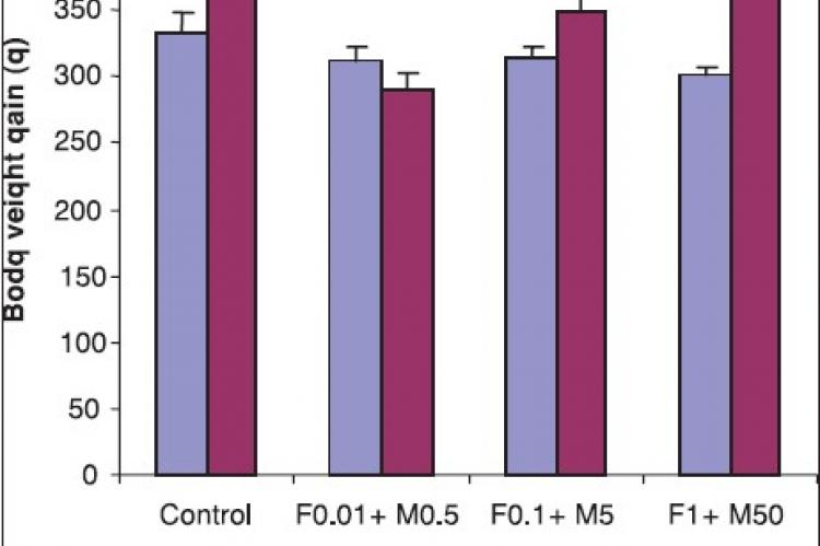  Effect of Fagara tessmannii and Lepidium meyenii (Maca Negro) on body weight