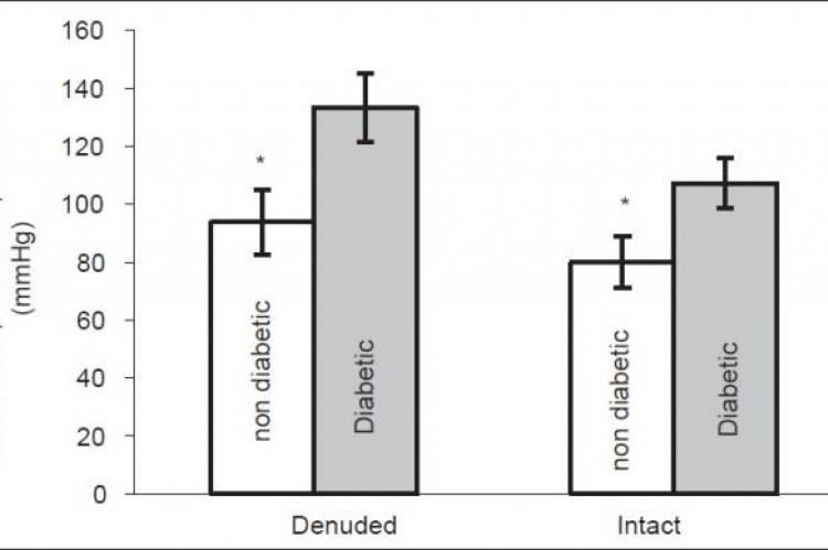 Baseline perfusion pressure