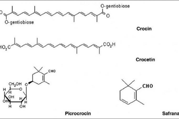 Chemical structures of crocin, crocetin, picrocrocin, and safranal