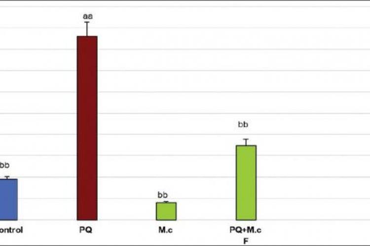 Lipid peroxidation (LPO) in lung tissue of rats. aaSignificantly different from control group