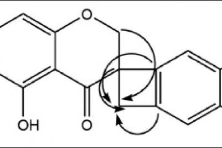 Important 1H-13C heteronuclear multiple-bond correlation correlations of Scillascillin