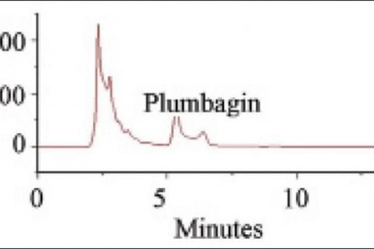  Qunatification of plumbagin in ethanolic extracts of Plumbago rosea roots using HPLC