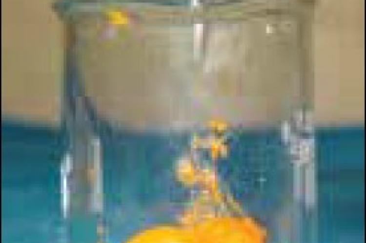 Curcumin gel
