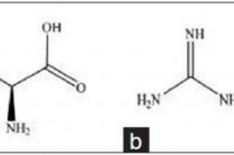 Analysis of L‑citrulline and L‑arginine in Ficus deltoidea leaf extracts by reverse phase high performance liquid chromatography