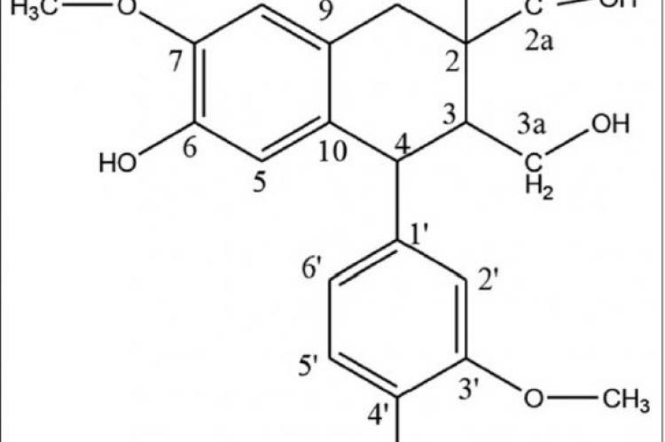 Cycloolivil, a lignan from the roots of Stereospermum suaveolens