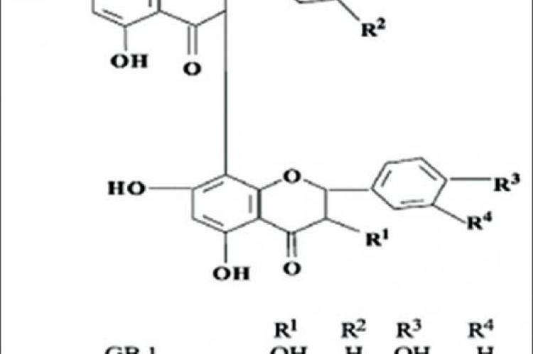 Gastrointestinal protective efficacy of Kolaviron (a bi‑flavonoid from Garcinia kola) following a single administration of sodium arsenite in rats: Biochemical and histopathological studies
