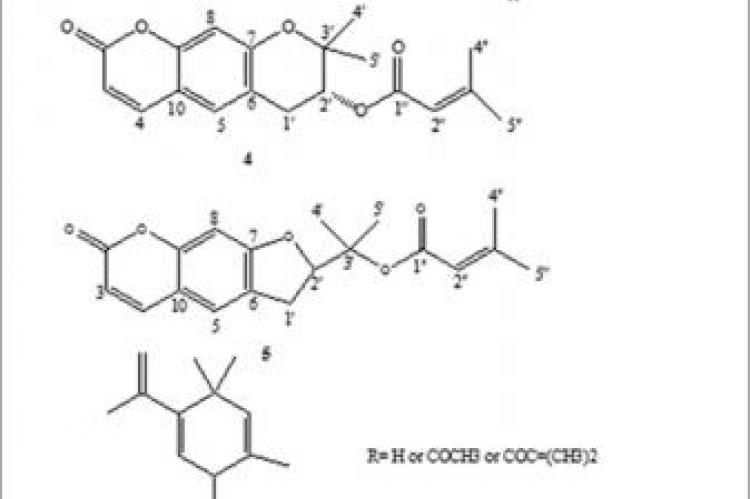 Antiproliferative evaluation of terpenoids and terpenoid coumarins from Ferulago macrocarpa (Fenzl) Boiss. fruits