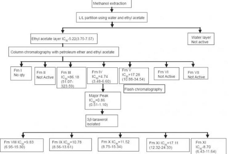 Cholesterol esterase inhibitory activity of bioactives from leaves of Mangifera indica L