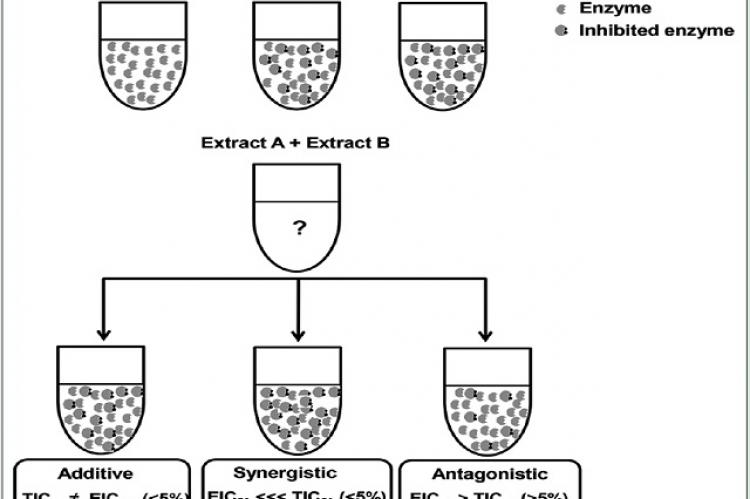 Classification in additive, synergistic, or antagonistic effects using the inhibition of alpha‑glucosidase as example