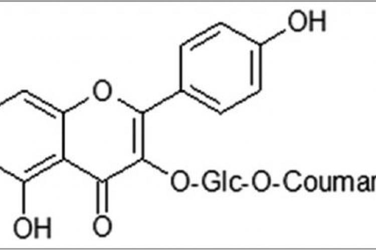 Chemical structure of tiliroside 2