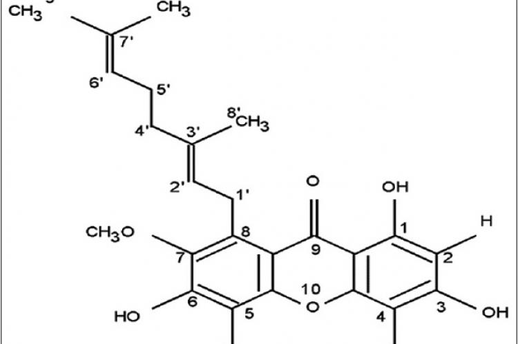 Rubraxanthone