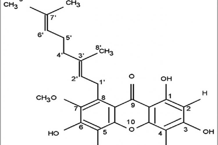 Rubraxanthone