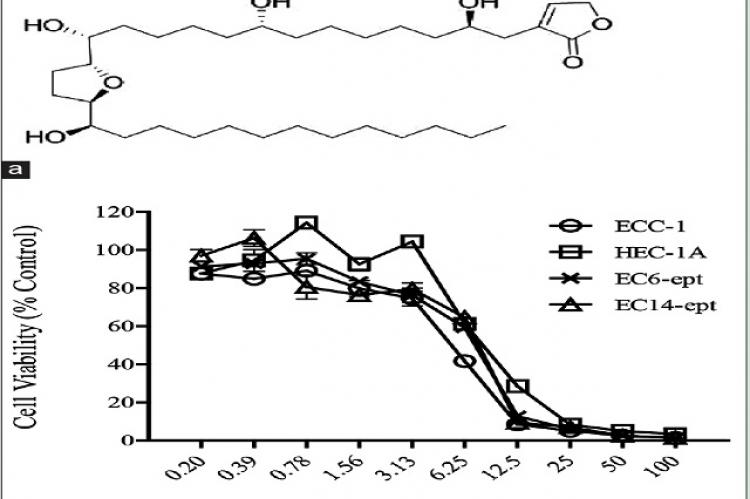 Antiproliferative effects of annonacin on endometrial cancer cells