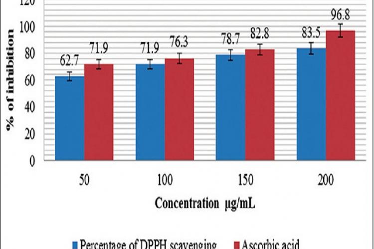 DPPH radical scavenging assay of Loligo vulgaris