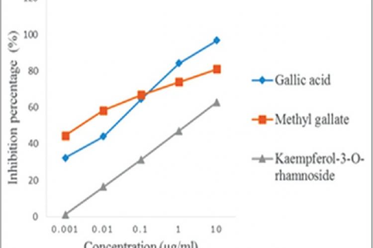 Various concentration of compounds determining the IC50 value against Plasmodium falciparum after 48 h of incubation. Data are the mean value of double‑independent experiments