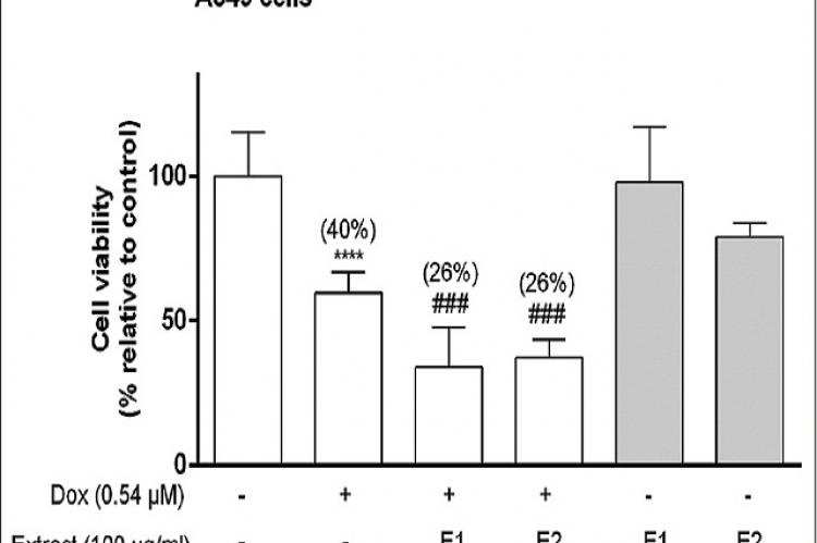 Effect of extracts E1 and E2 at 100 μg/ml alone and in combination with doxorubicin at 0.54 μM on cell viability of the A549 lung cancer cell line after 48 h of incubation