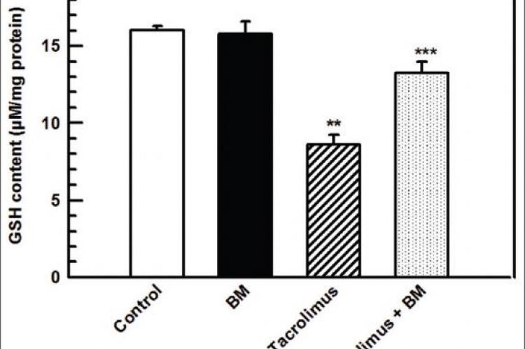 Mitochondrial Nephrotoxicity induced by Tacrolimus (FK‑506) and Modulatory Effects of Bacopa monnieri (Farafakh) of Tabuk Region