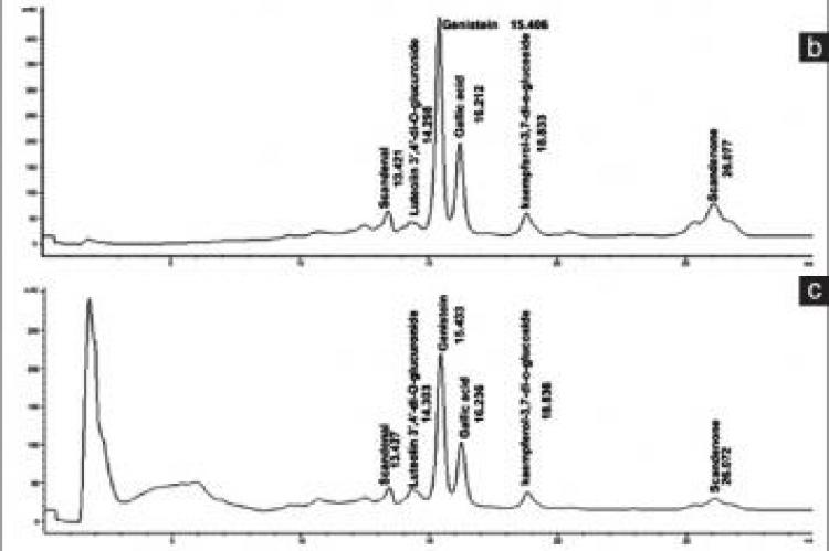 Assessments of Antioxidant, Antilipid Peroxidation, and In-vitro Safety of Derris scandens Vine Extracts from Southern Thailand