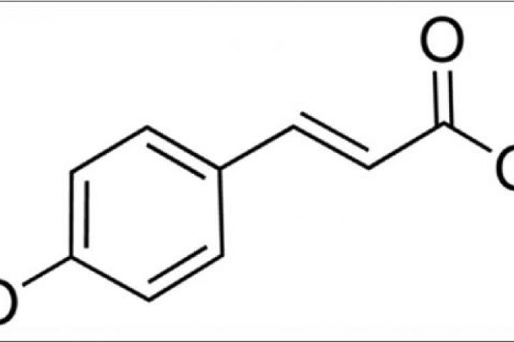 Determination and Quantification of p‑Coumaric Acid in Pineapples (Ananas comosus) Extracts using Gradient Mode RP-HPLC