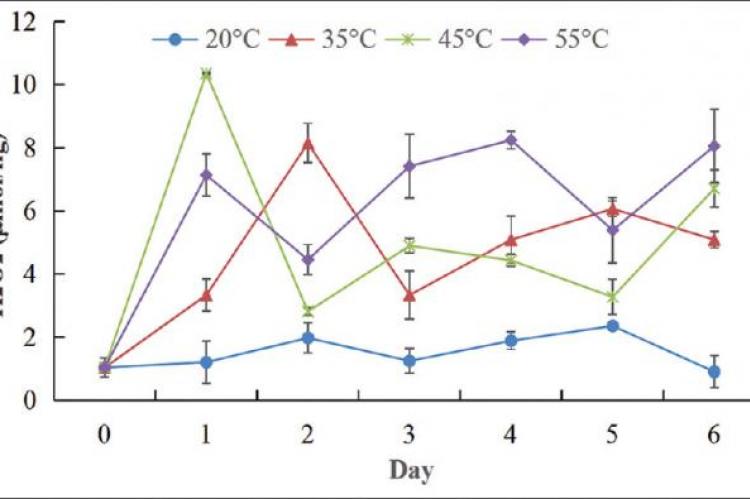 High-temperature Condition Increases Lignanoid Biosynthesis of Schisandra chinensis Seeds via Reactive Oxygen Species