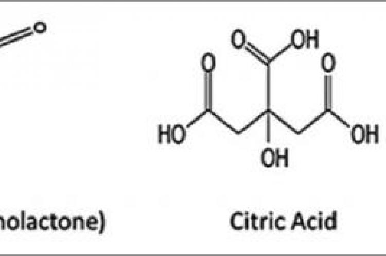 Estimation and Comparison of Amount of Organic Acids from Dried Leaves of Garcinia cambogia, Garcinia indica, Garcinia xanthochymus, and Garcinia morella by High‑Performance Liquid Chromatography