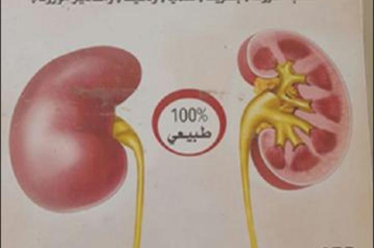 Evaluation of Acute Toxicity of Plants’ Mixture Used in Traditional Treatment of Kidney Diseases in Morocco