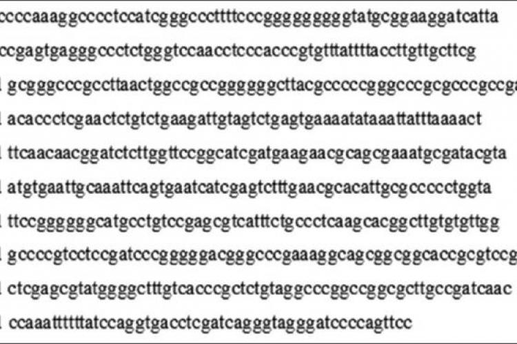 Bioactive Secondary Metabolites from the Locally Isolated Terrestrial Fungus, Penicillium sp. SAM16‑EGY