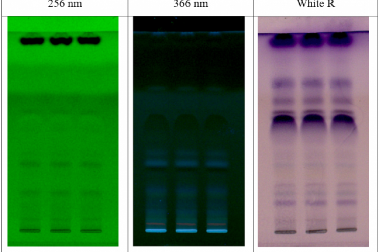 Image information of HPTLC of Jeevanthyadi ghrita at 254nm and 366 nm