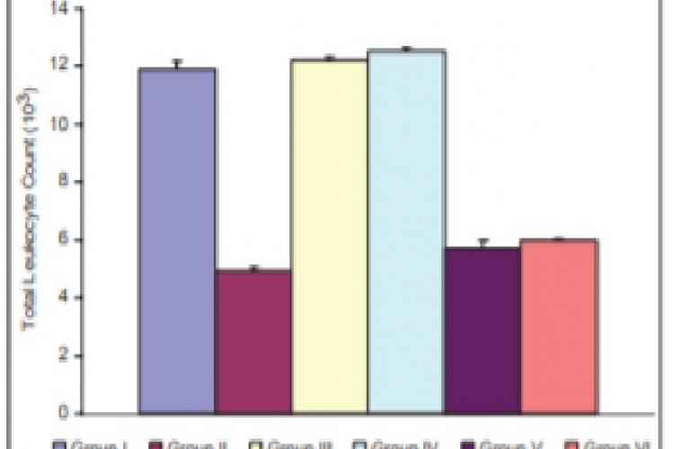 Effect of P. kurroa on total leukocyte count