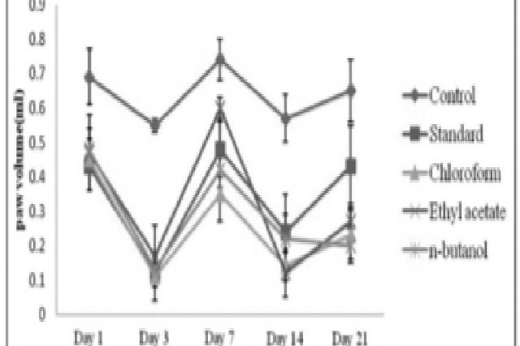 Effect of different extracts on paw volume