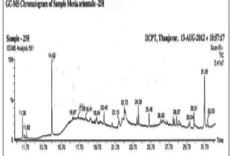  GC-MS analysis of ethanolic leaf extract of Melia orientalis