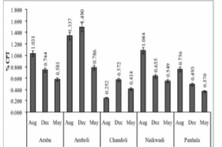 Content of camptothecin (%) from bark extracts of N. nimmoniana