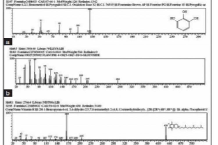 Extraction, Gas Chromatography-mass Spectrometry Analysis and Screening of Fruits of Terminalia Chebula Retz. for its Antimicrobial Potential