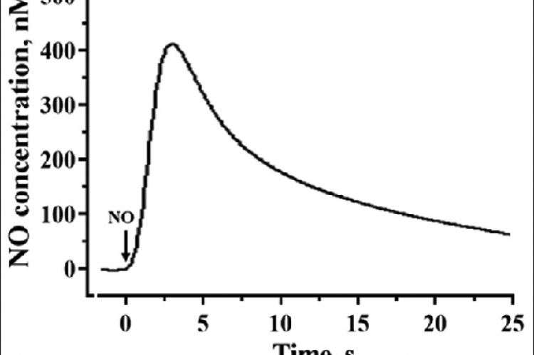 Amperometric curve showing response of nitric oxide sensor to 400 nM concentration of standard nitric oxide solution (Hank’s balanced salt solution buffer)