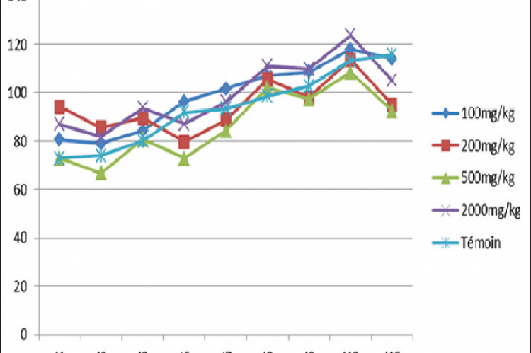 Effects of plant’s recipe on rat body weight during 15 days