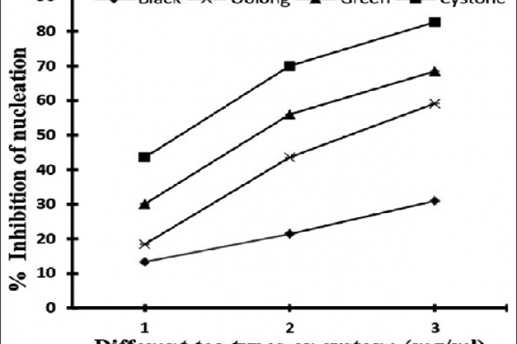 Percentage inhibition of nucleation by cystone, green tea