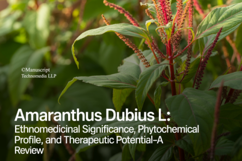Amaranthus dubius L.: Ethnomedicinal Significance, Phytochemical Profile, and Therapeutic Potential-A Review