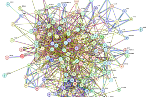 PPI network obtained from STRING database