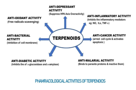 Pharmacological activities of terpenoids with their mechanism