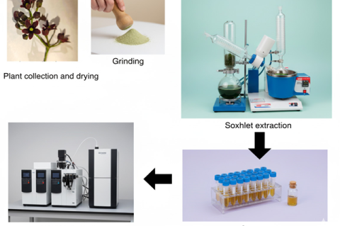 Extraction of phytocompounds for LC-MS analysis: A comprehensive overview.