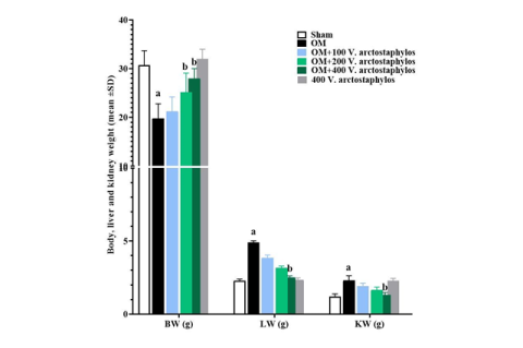 Total body (BW) (g), liver (LW) (g), and kidney weights (KW) (g) in experimental groups (means±SD).