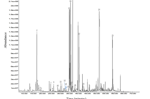 Typical GC-MS chromatogram (TIC) of Launaea nudicaulis (L.) Hook. f. sample.