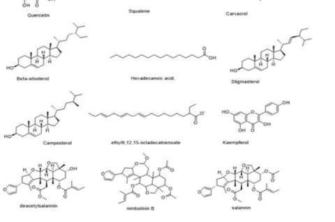 Presence of Chemical Structures in Melia azedarach