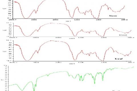 Comparison of FTIR spectra of different parts of Piper sarmentosum in mid-IR range (4000- 400 cm-1)