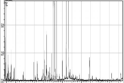 GC-MS chromatogram of Essential Oil Composition of the Dracocephalum moldavica L