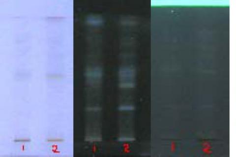 HPTLC fingerprint of both formulations (methanol extract) Key: 1= methanol extract of Efiplus caps® 2= methanol extract of HMF-TE AS reagent- Anisaldehyde- sulphuric acid acid reagent.