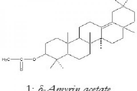 δ-Amyrin acetate