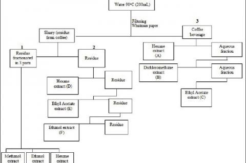 Schematic coffee residue and beverage extraction processes with different solvents. In figure: 1 overnight maceration; 2 soxleth; 3 liquid-liquid partition.