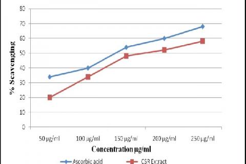 Effect of CSR on DPPH radical scavenging activity.
